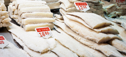 Bacalao